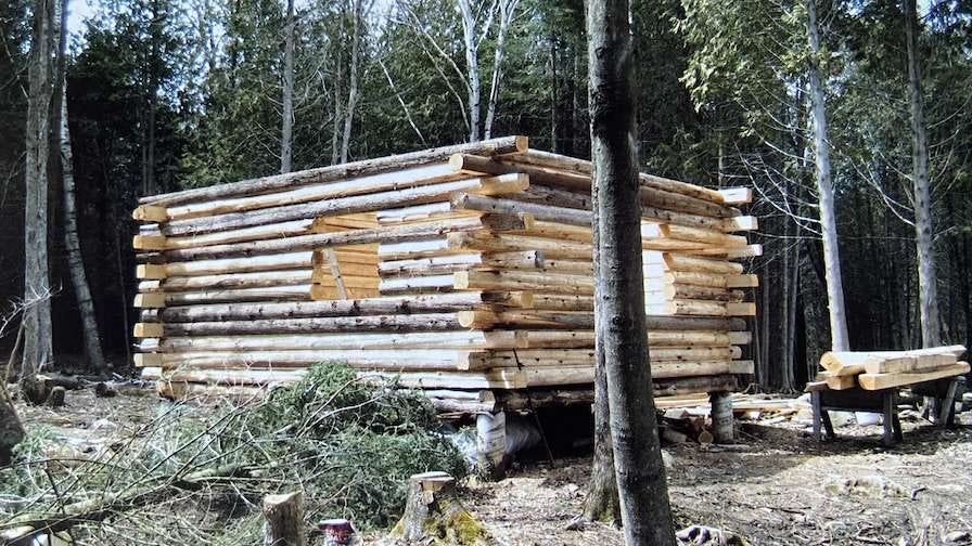 Cabin frame in Ontario from locally sourced timber