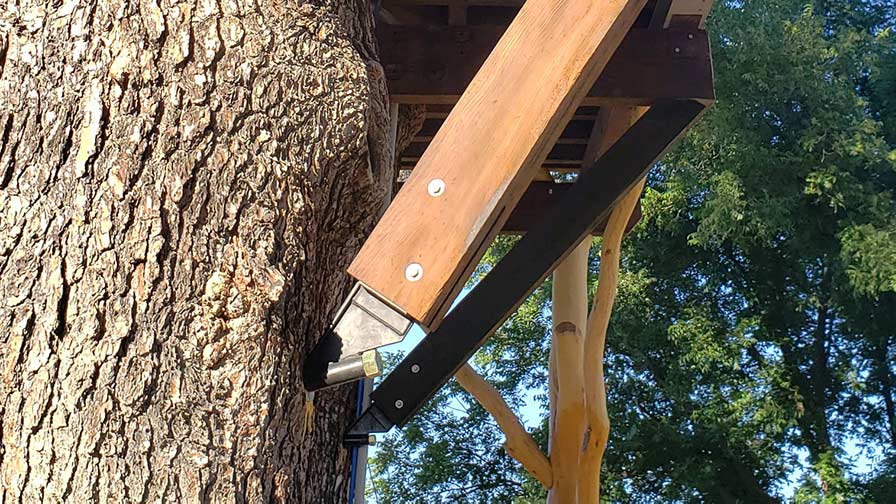 Stucture support for mesquite treehouse