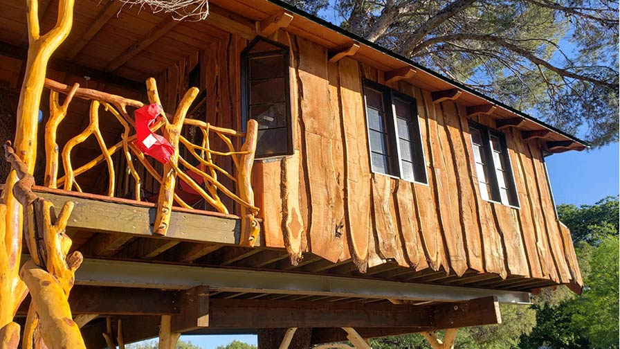 Windows of mesquite treehouse