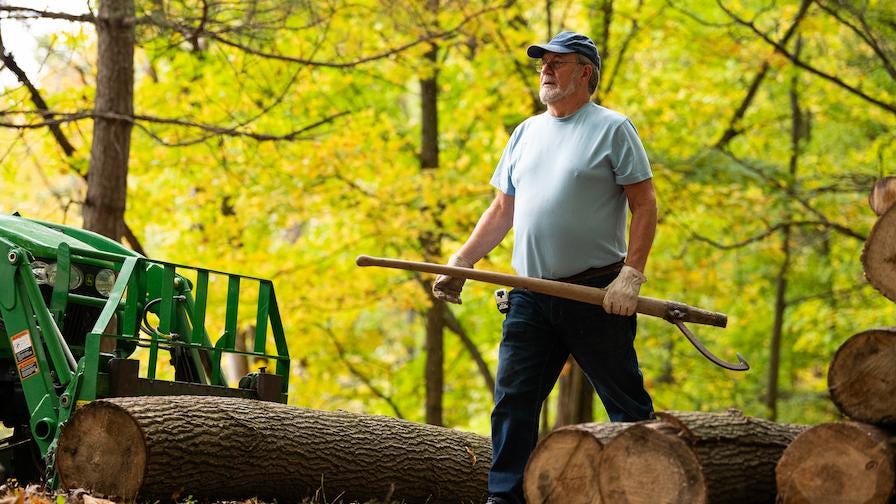 Blown down trees become wooden toy cars