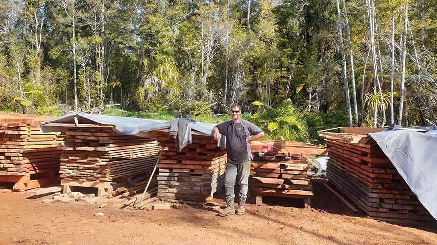 Timber drying