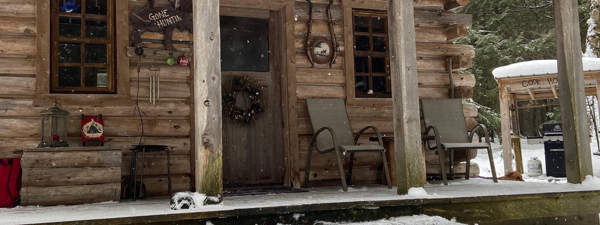 Building a Rustic Log Cabin in Ontario