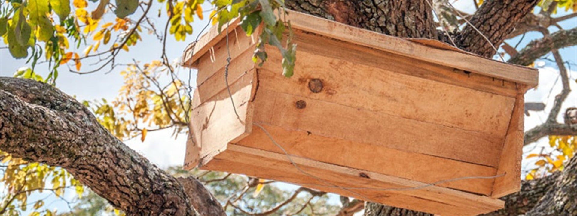 One LT15 Produces Timber for 50,000 Beehives in Zambia