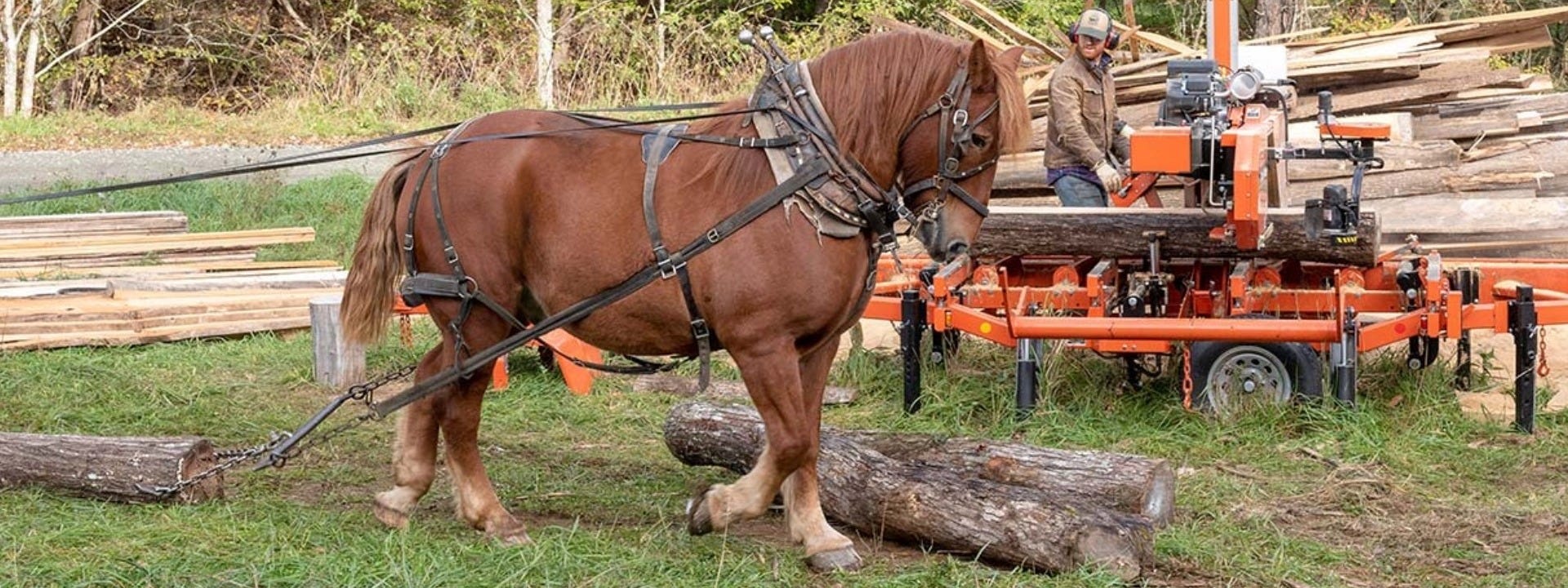 Sawmilling and Horse Logging in Western North Carolina