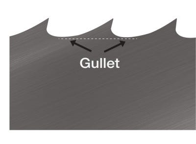 gullet