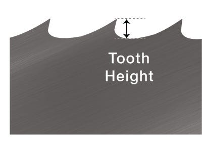 tooth height