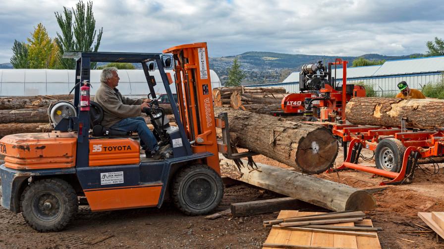 Log loading with a forklift