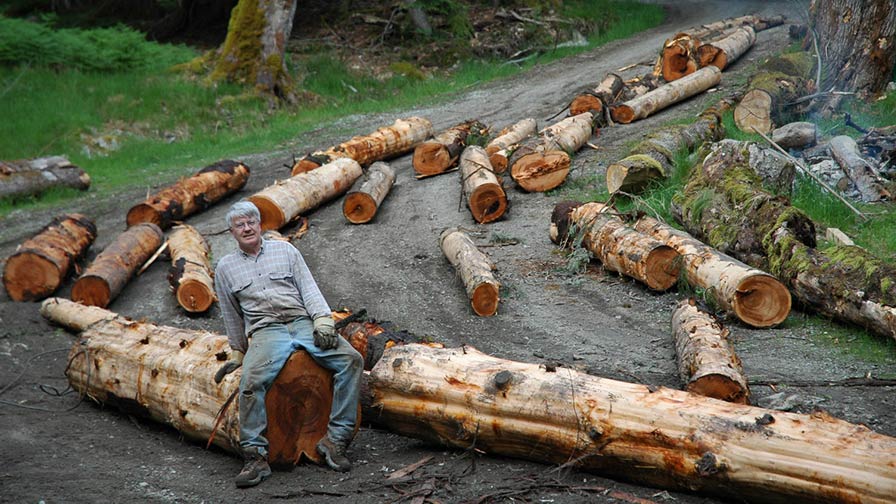 Mike Collier Logs