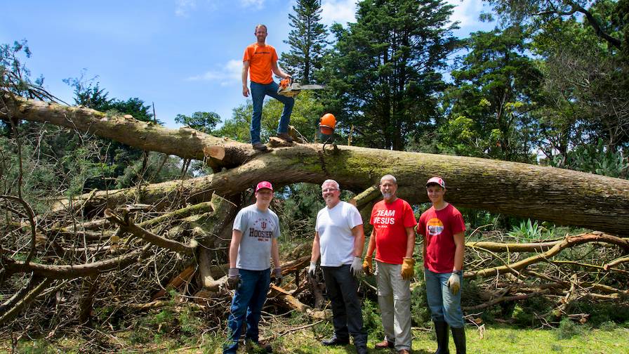 Wood-Mizer Employees Felling a Tree