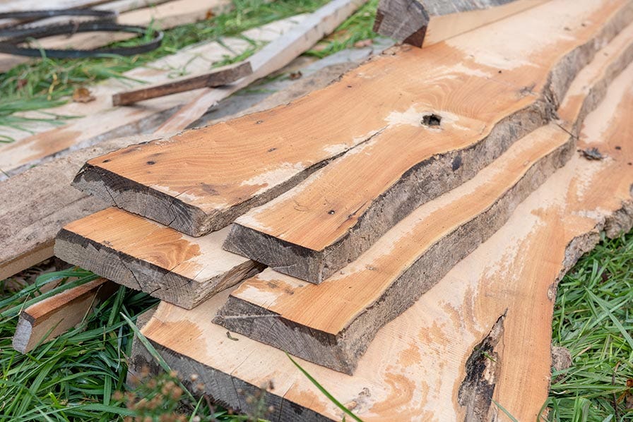 Crotched wood slabs cut on Wood-Mizer sawmill 