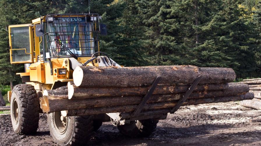 Logs loading Volvo forklift