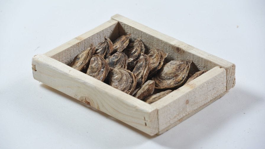 Wooden oyster box