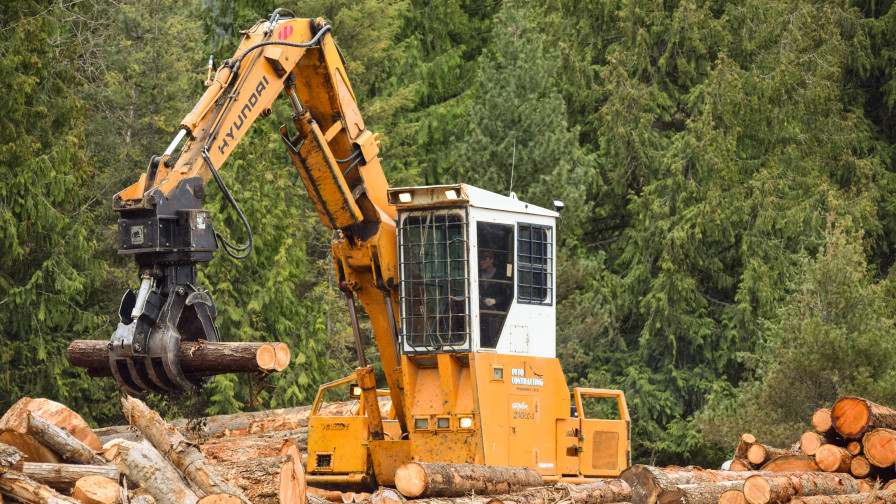 Hyundai forklift in log yard