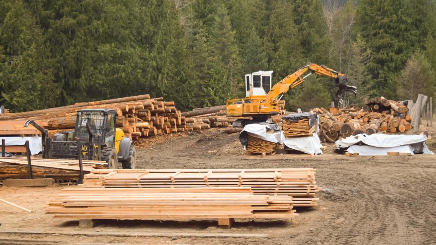 Busy log yard supports sawmill