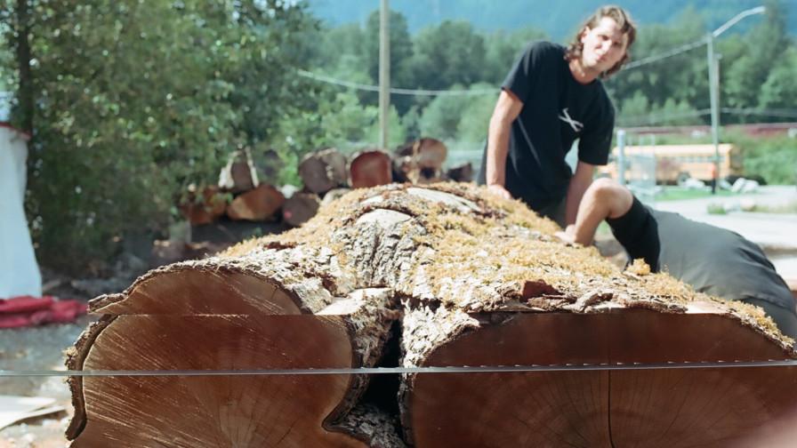 Crotched wood cut on Wood-Mizer sawmill